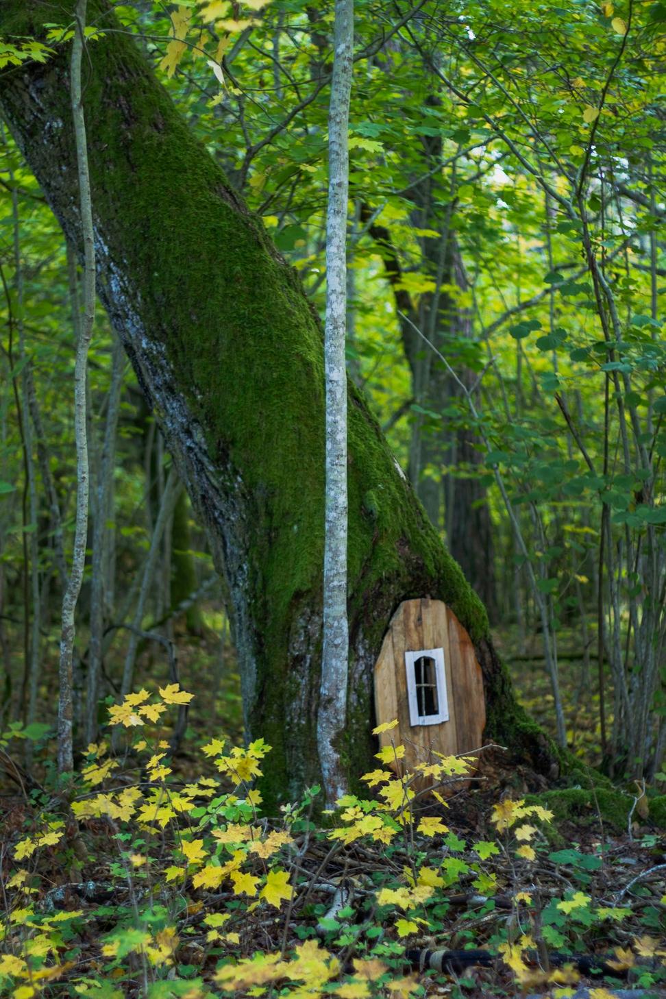 Cypress Grove