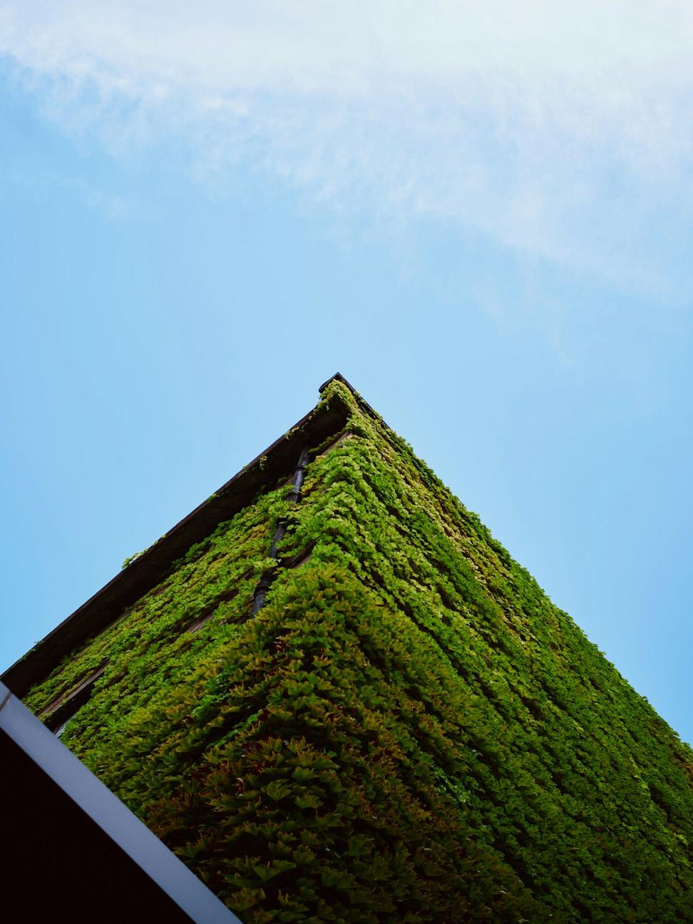 Green Roof