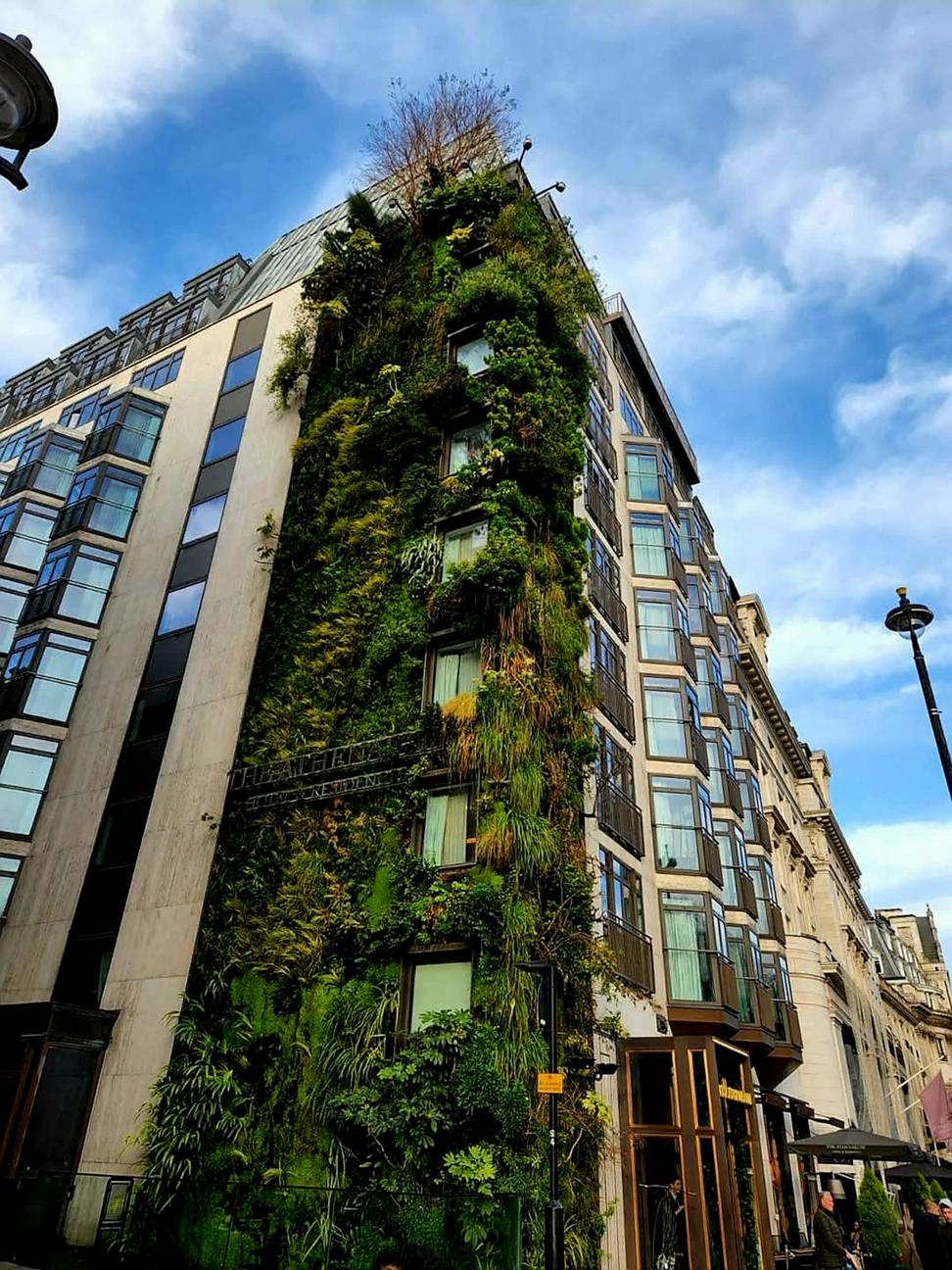 Sustainable architecture integrated with nature