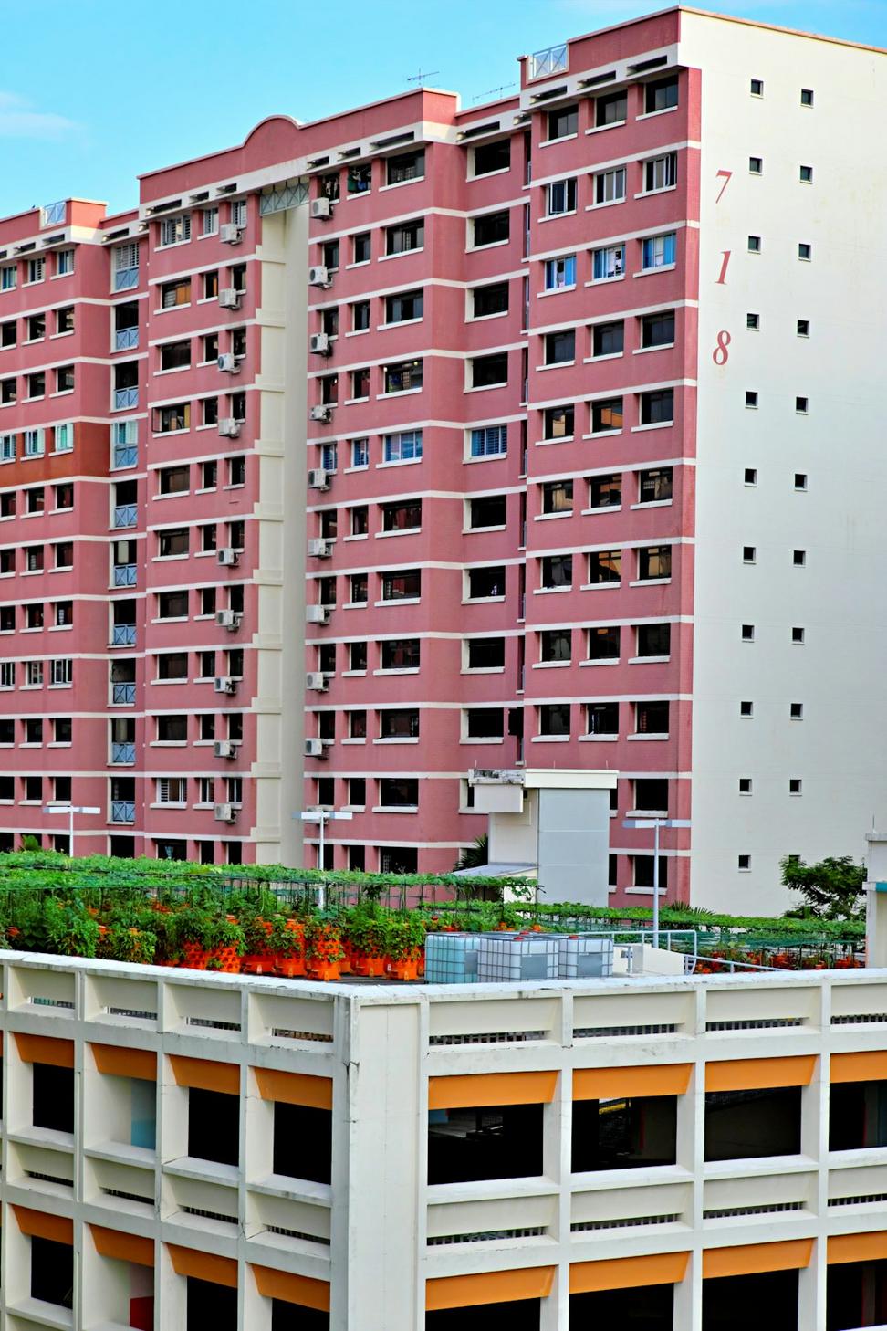 Rooftop Garden